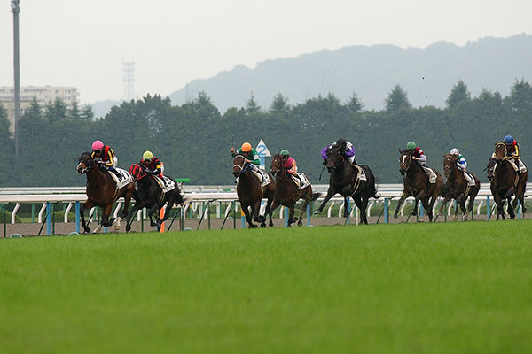 人気 パソコン競馬ライター 市丸